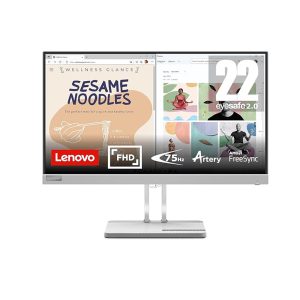 Lenevo Monitor