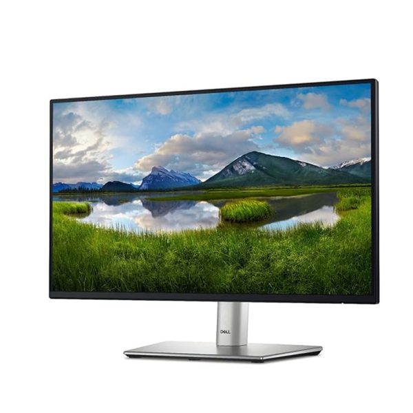 DELL MONITOR